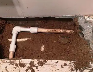 大武口测漏水哪家好