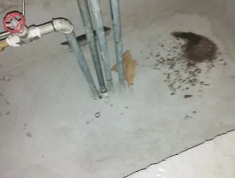 大武口卫生间测漏水价格明细