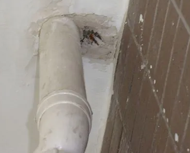 大武口漏水检测哪家好